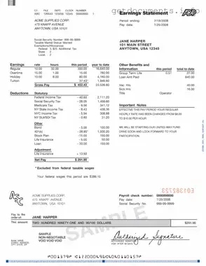 Official Adp Pay Stub Form