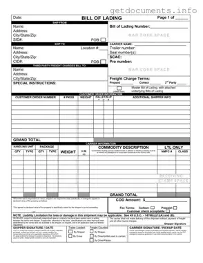 Official Bill of Lading with a Supplement Form